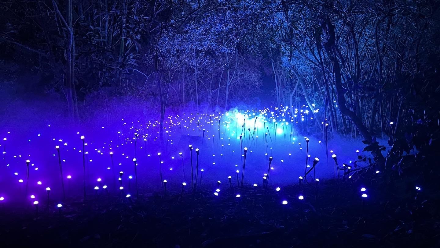 2022 End of Year Special (PODCAST)