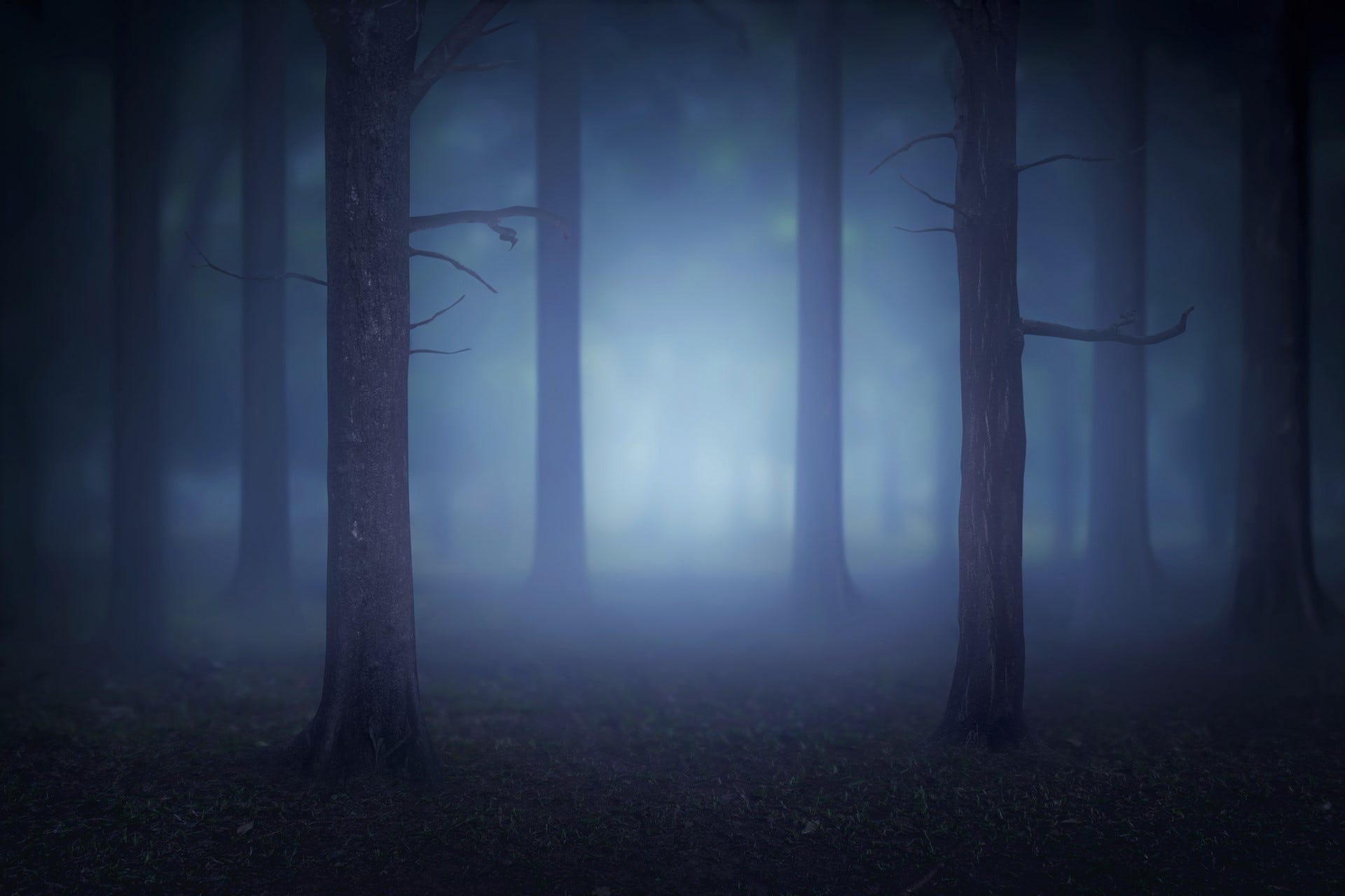 Englewood, CO: Natura Obscura (Extension)