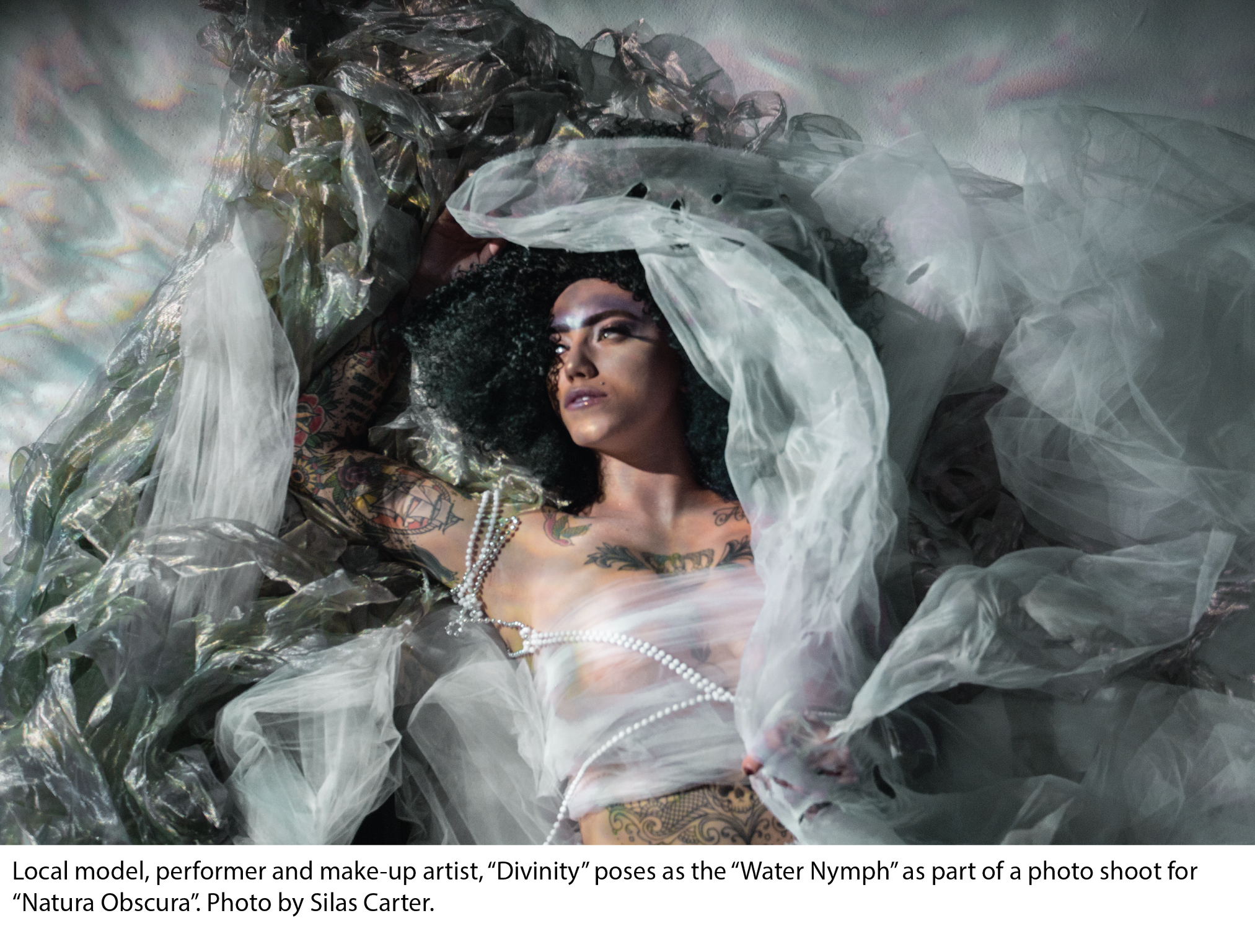 Denver’s ‘Natura Obscura’ Takes You Into The Immersive Forest (Q&A)