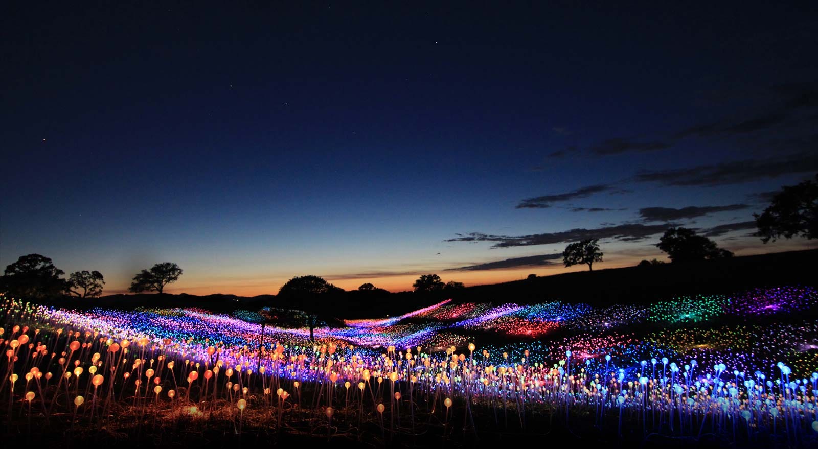 Paso Robles: Field of Light at Sensorio