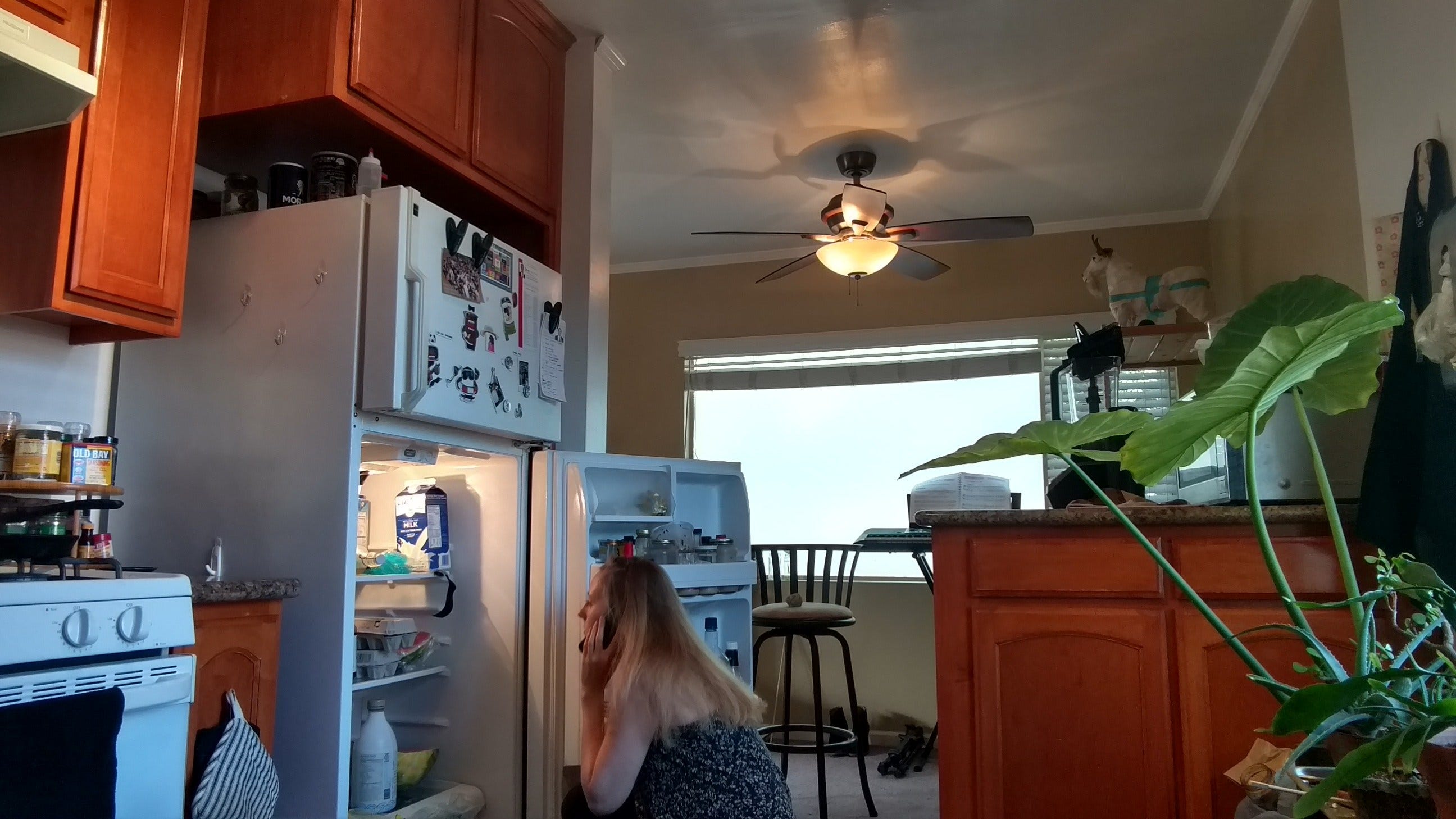 LA/Philadelphia/Anywhere: But Next Not This