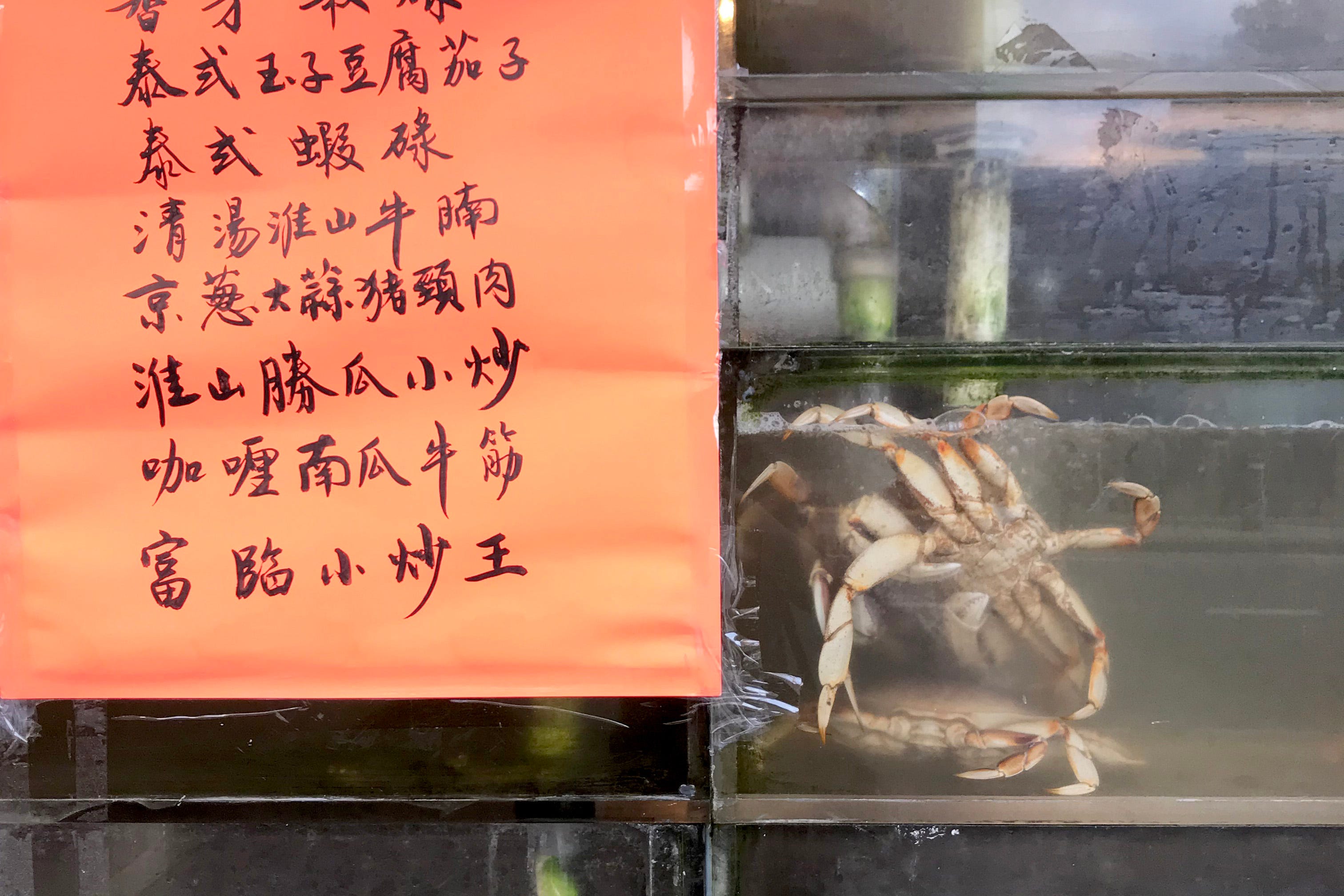 A Daring Immersive Dance Tour in ‘Sit, Eat and Chew 五味杂陈’ (The NoPro Review)