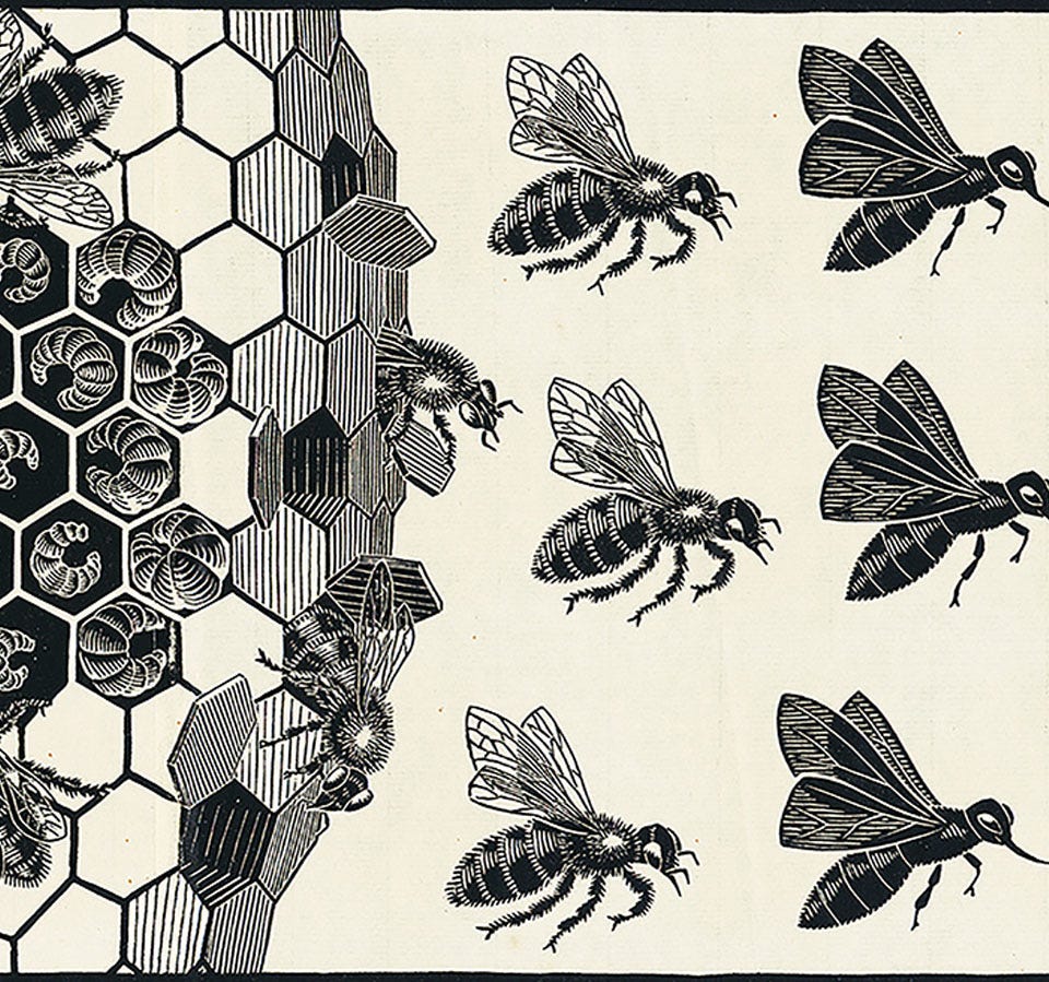 NYC: ESCHER. The Exhibition & Experience