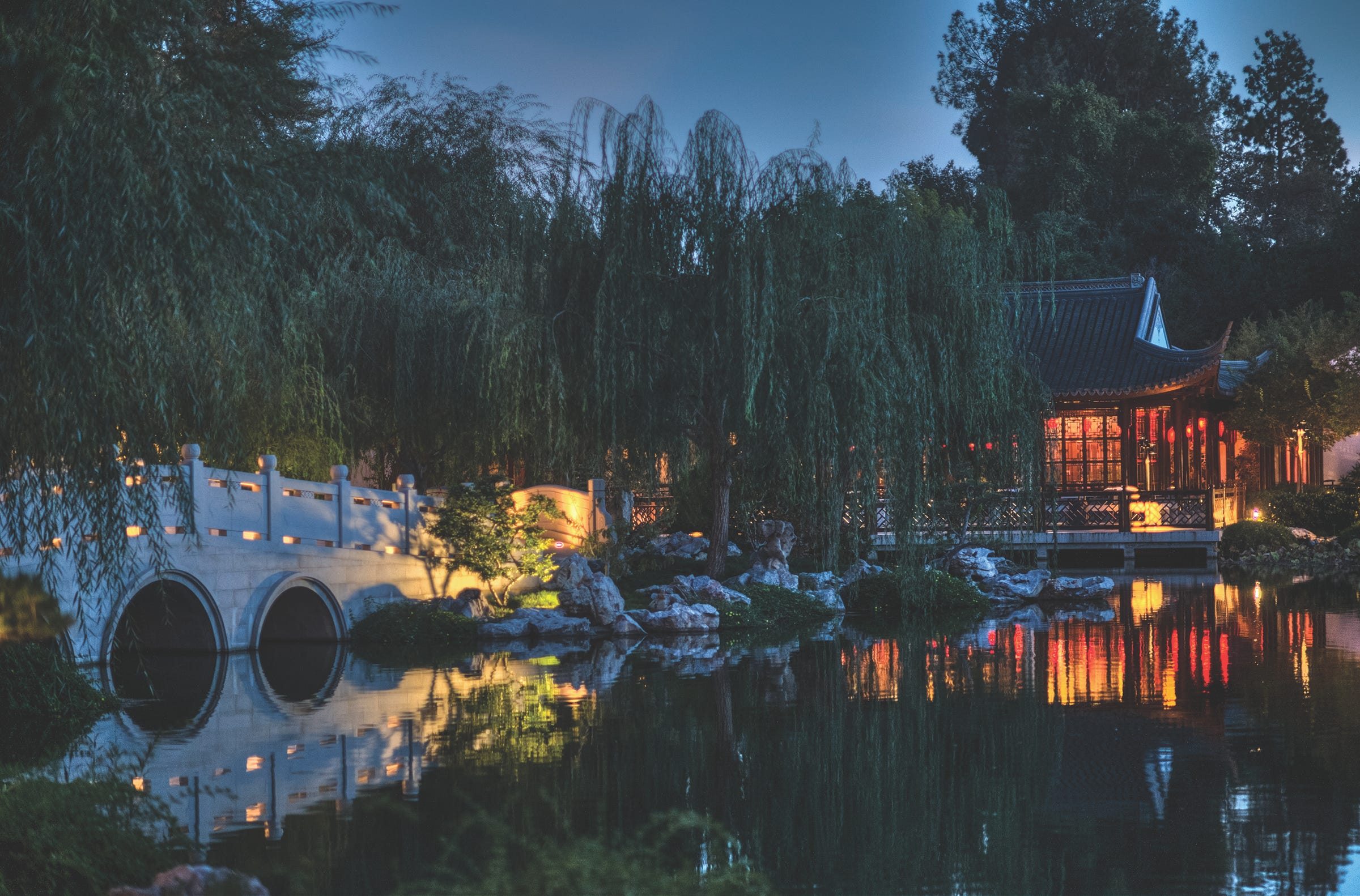 A Walk Between Worlds: ‘Nightwalk in the Chinese Garden’ Invites You For A Stroll (The NoPro…