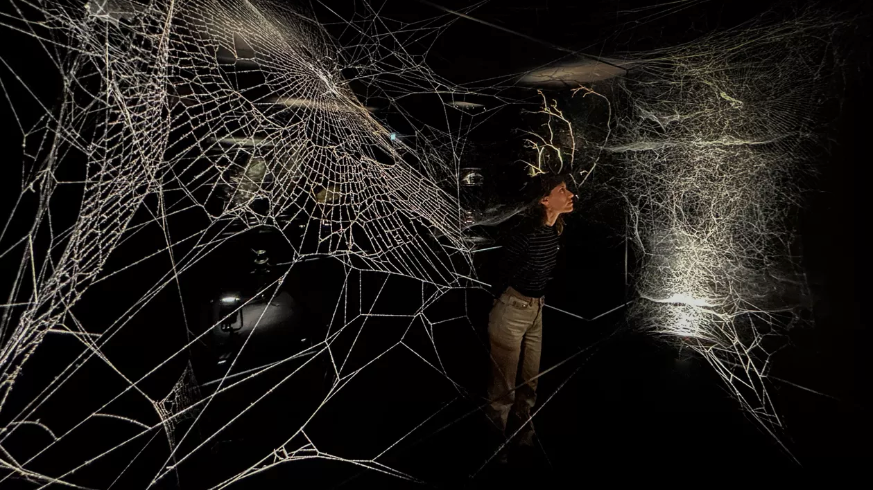 Tomás Saraceno In Collaboration: Web(s) of Life (Capsule Review)