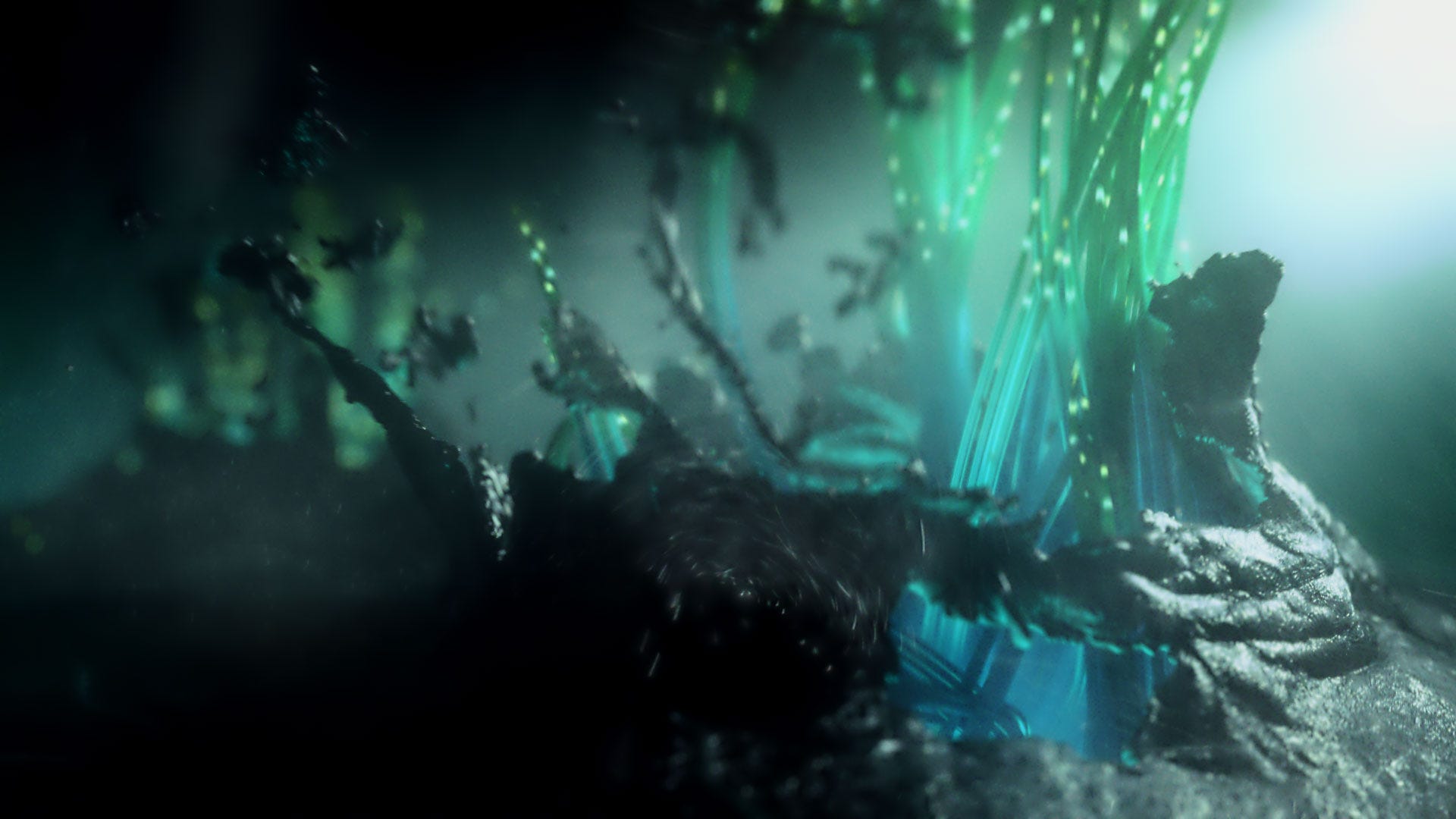 Music In The Key of Future: Björk Digital