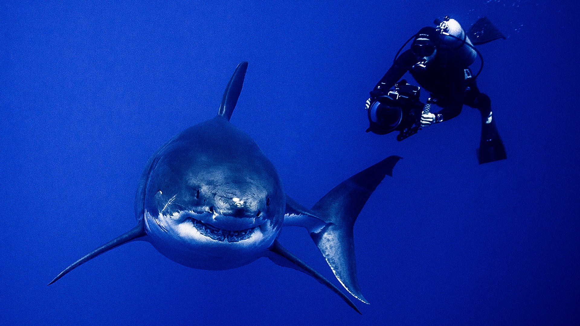 Tribeca Immersive 2018 Diary, Part 6: Beautiful, Impossible Places