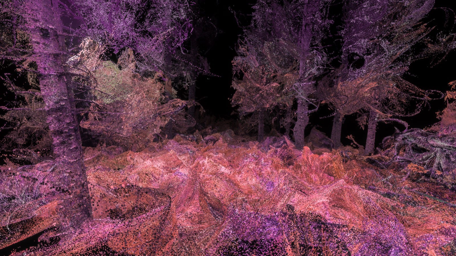 LA: HYPERSPECTIVE- Full-Dome Festival