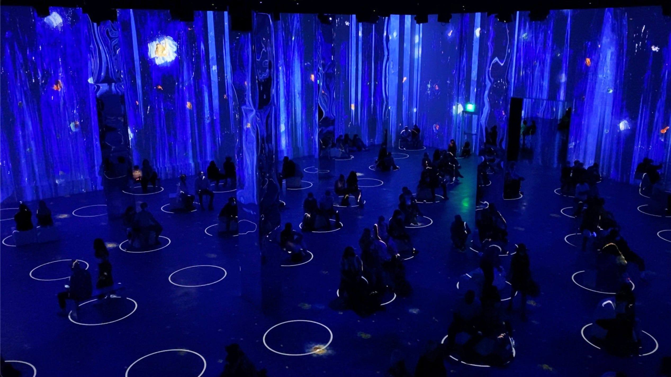 Immersive Van Gogh (Capsule Review)