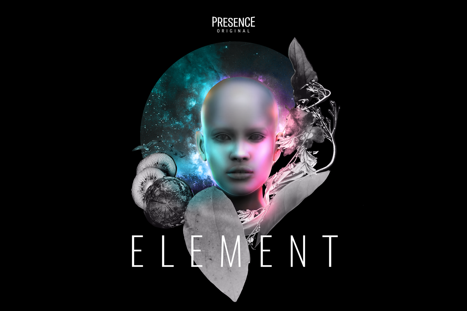 SF: ‘ELEMENT: An Immersive Culinary Experience’
