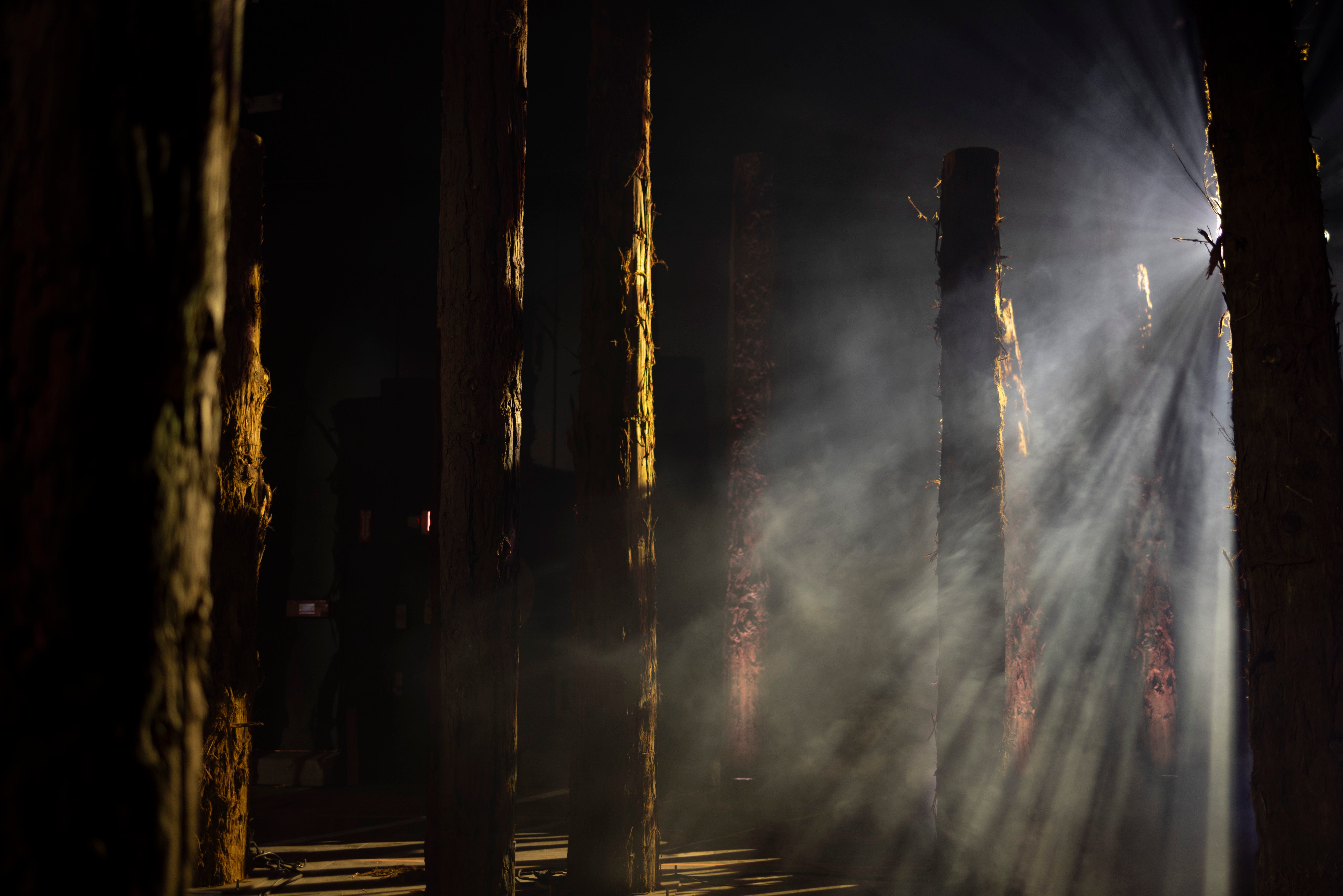 Glenn Kaino on ‘A Forest For The Trees’ (Podcast)