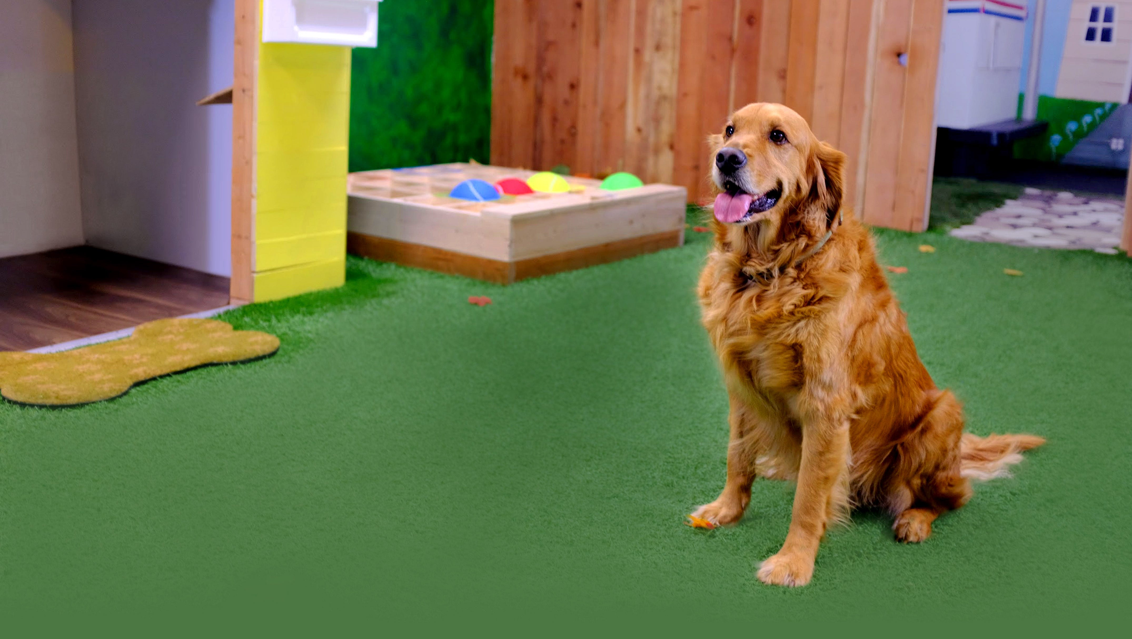 Picks of the Week (1/23/20–1/29/20)