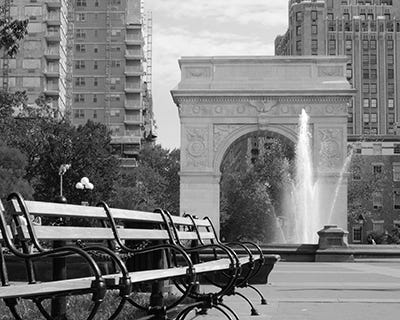 NYC: In the Solitude of the Cotton Fields