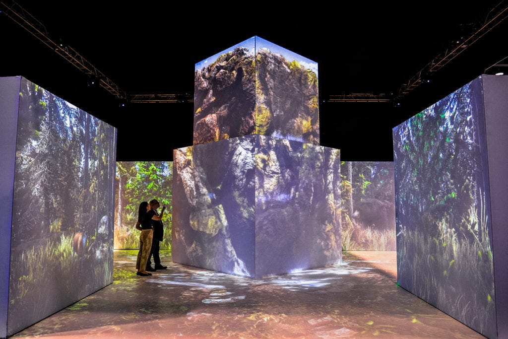 NoPro Podcast 206 — Dan Rutstein of Laduma