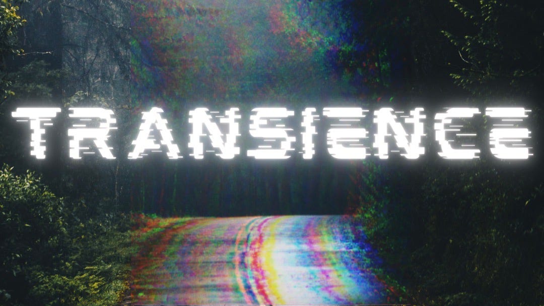 A small stretch of paved road at night. There are no people, no cars, no animals. The road seems to drop off suddenly with forest all around. The pavement has a sheen to it, maybe left over from a recent rain. There’s a blurred effect with striations of yellow, cyan, and magenta, as though the photo didn’t develop properly. In white, blurred text a word traverses the image: TRANSIENCE.