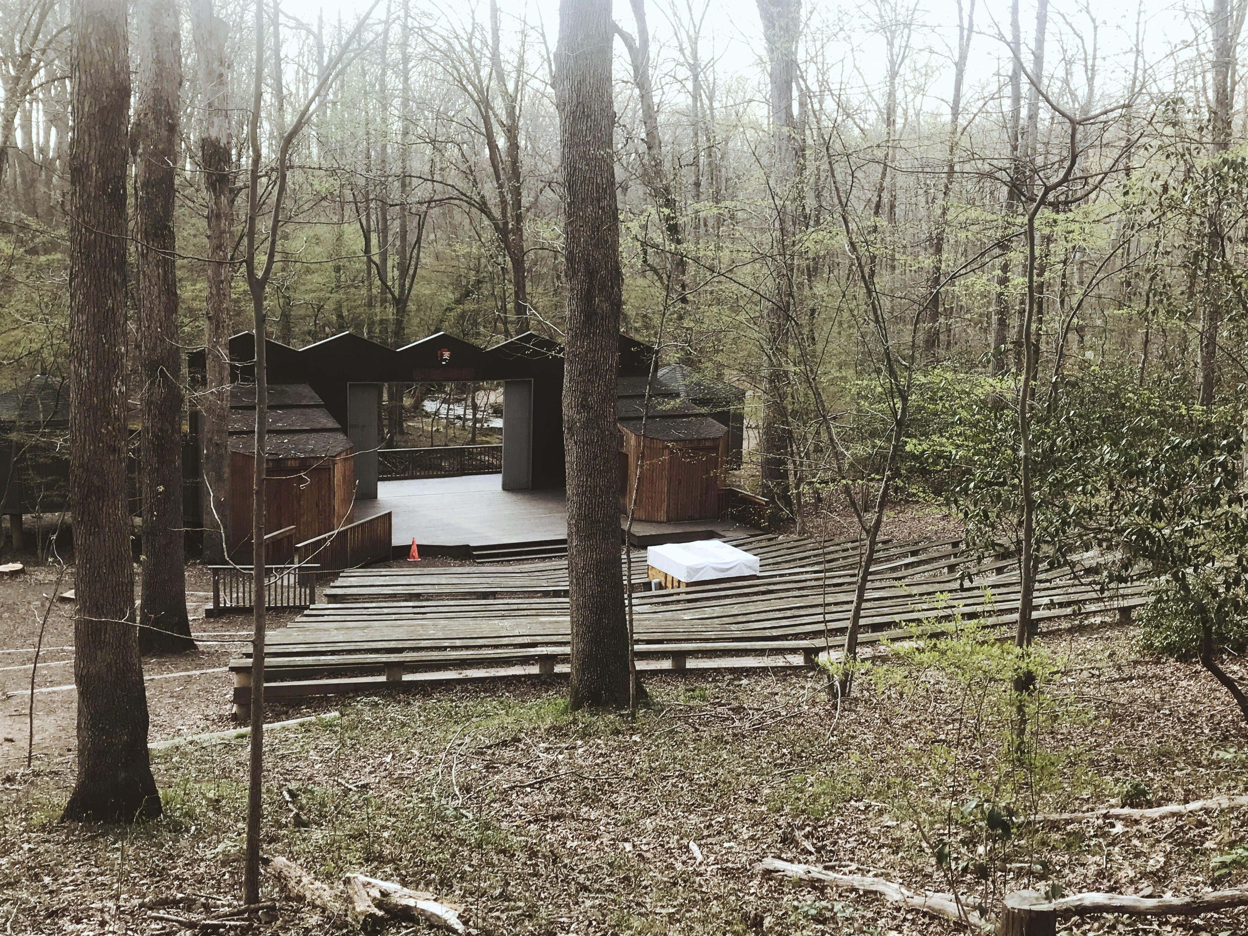 ‘Ellen Reid SOUNDWALK’ Offers an Invisible Concert in the Woods (Review)