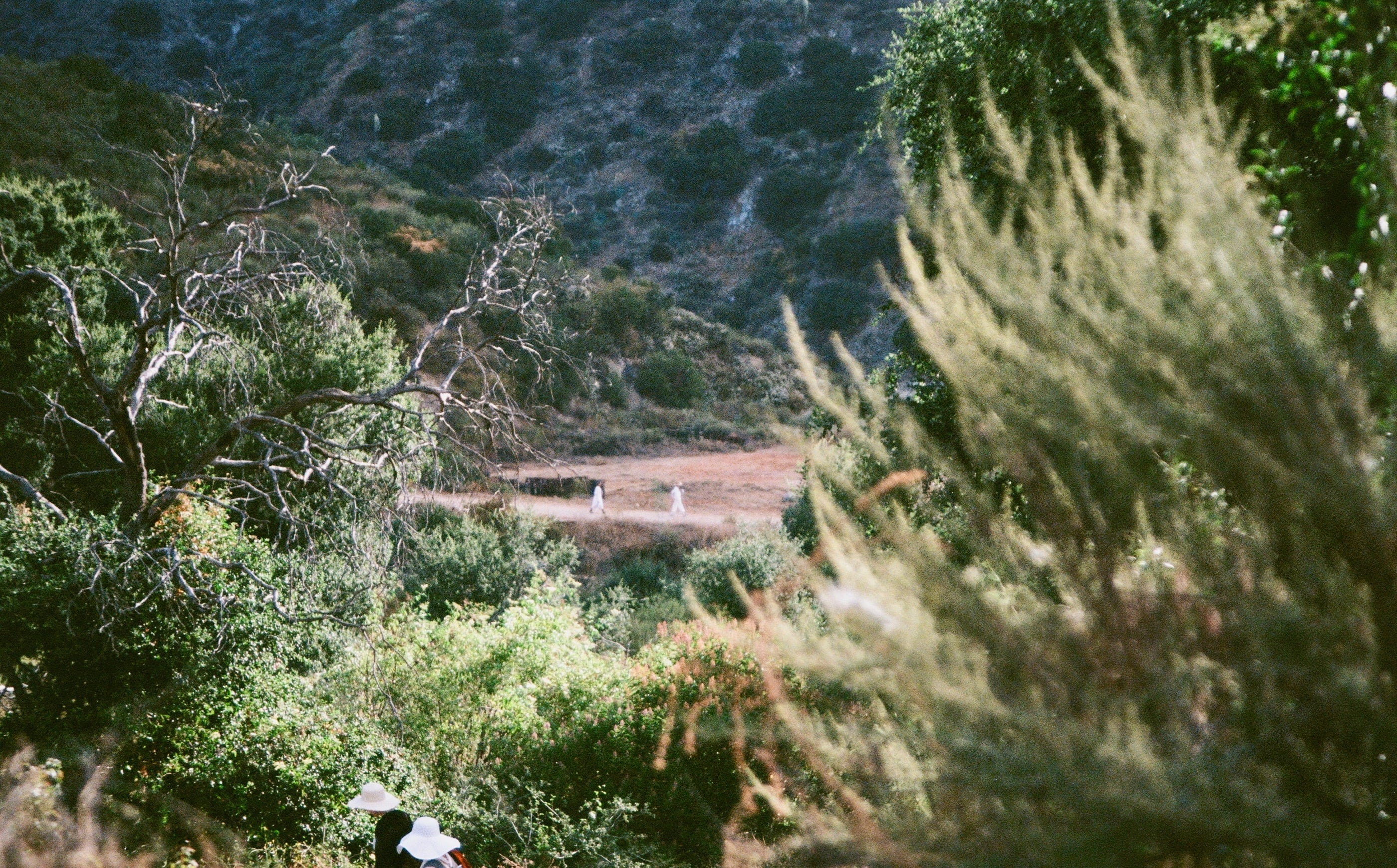 ‘The Society Now: Babalon’ — Rebooting a Mystery (Review)