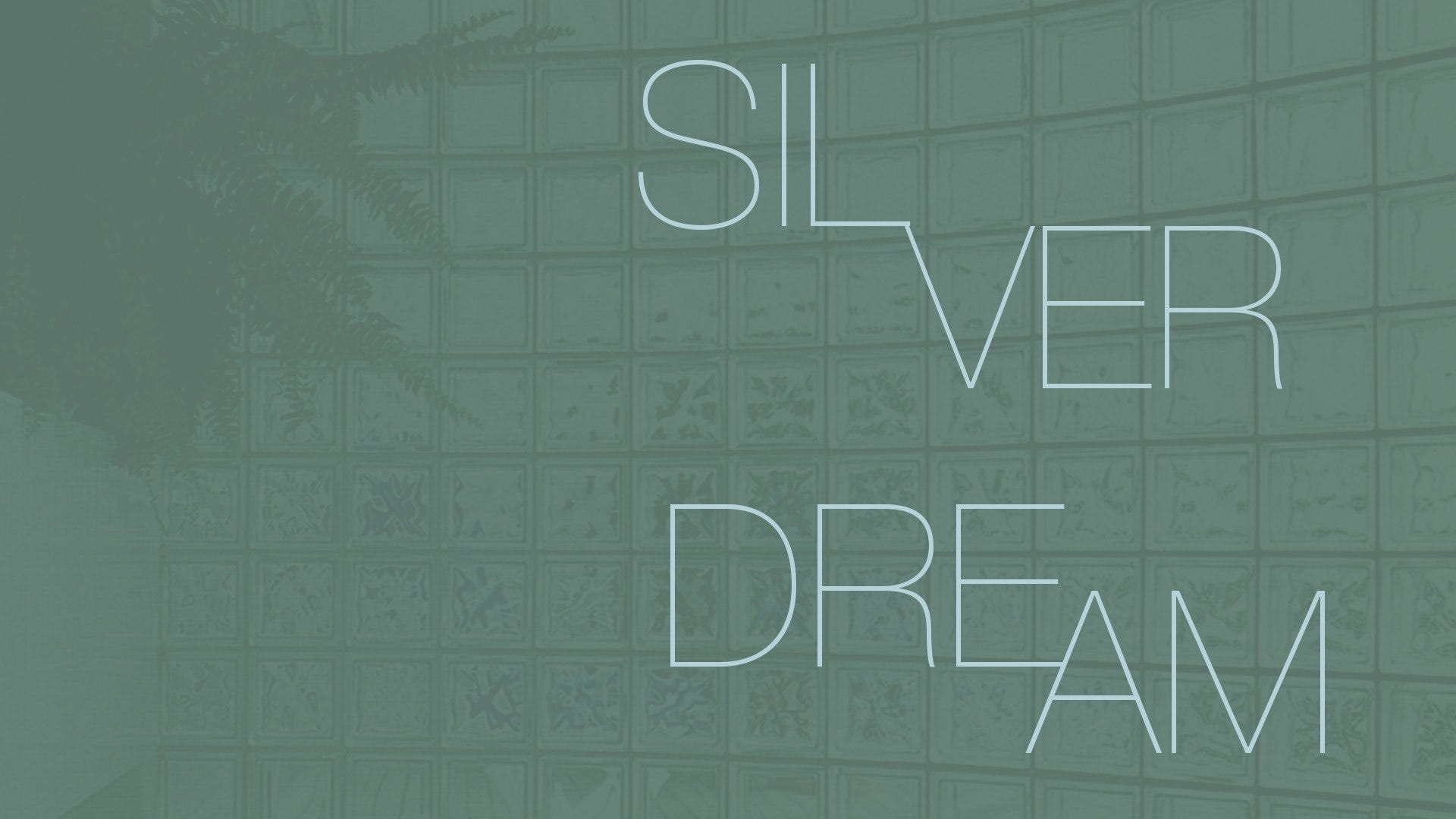 NYC: Walk the Silver Dream