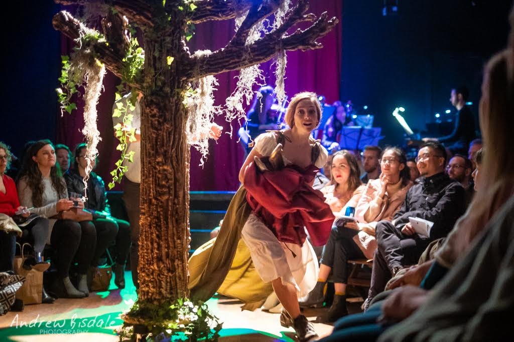 ‘Into the Woods’ Can’t See the Forest for the Trees (The NoPro Review)