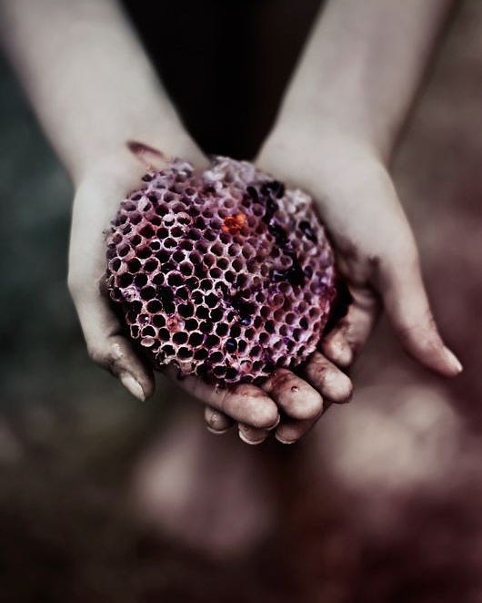 Austin: The Rain Sessions