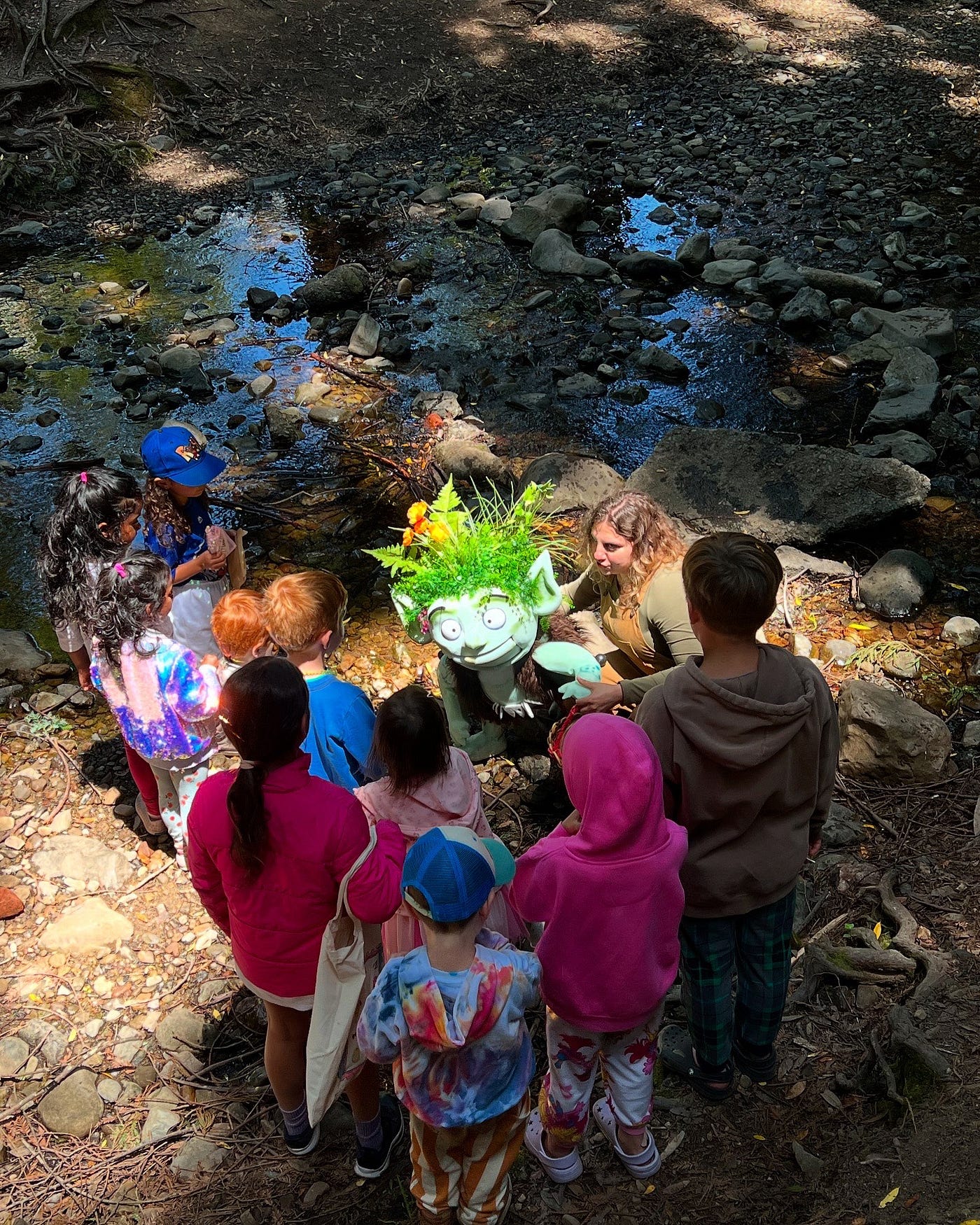 NOW PLAYING: The Wylding Woods