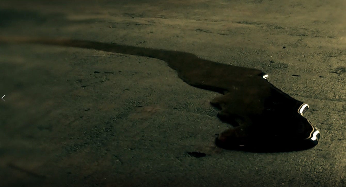 NYC: The Bloody Deed of 1857