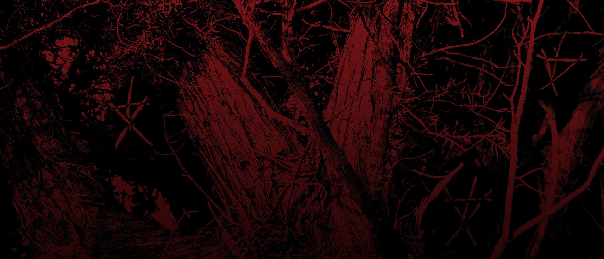 The ‘Blair Witch’ Gets In Your Head Thanks To A New Mystery Box (The NoPro Review)