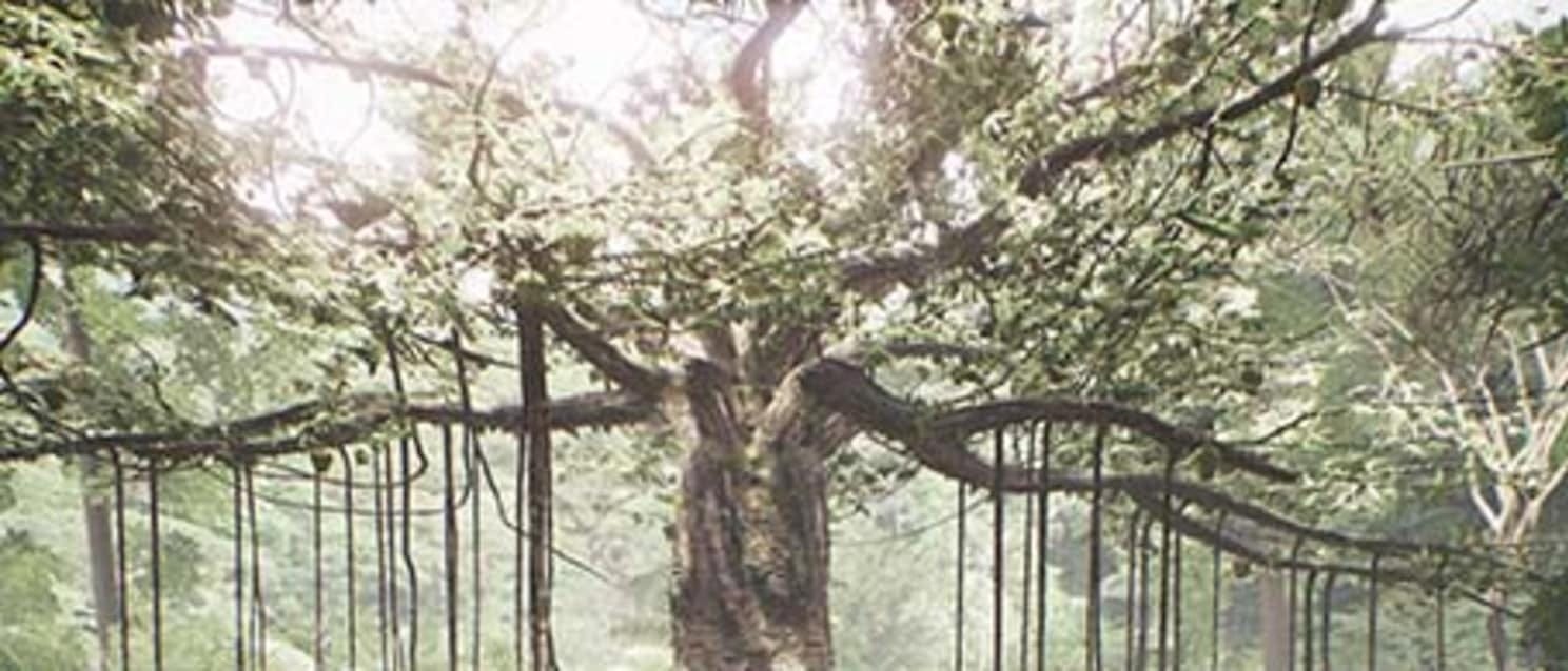 LA/NYC/Toronto: Tree