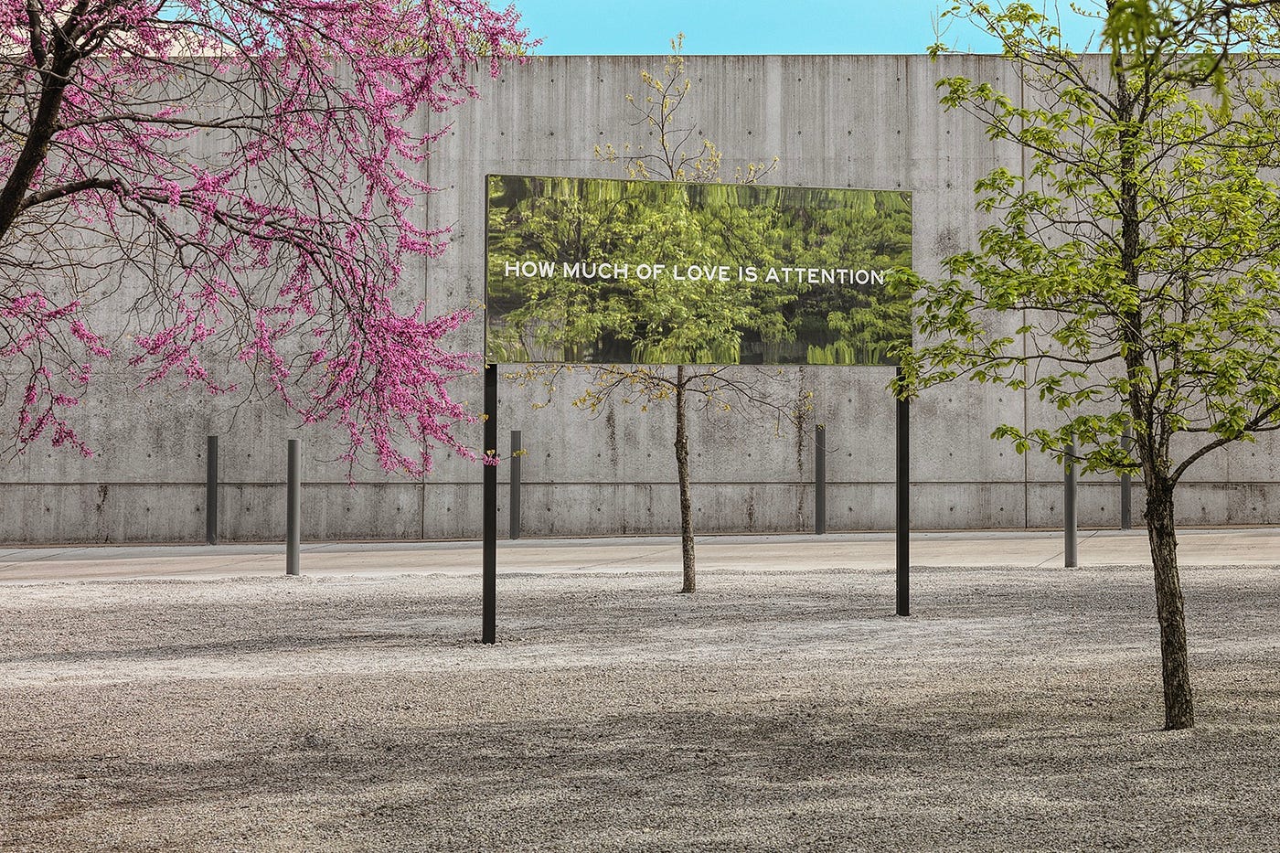 An open grove, with a few sparse trees and a gravel-filled ground, has the tall backdrop of a concrete wall. A sliver of blue sky is visible above the wall. In the center of the grove is a mirrored billboard on stilts. Lettering reads: HOW MUCH OF LOVE IS ATTENTION?