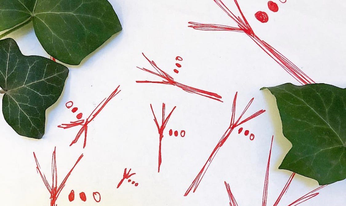 Creating Ephemeral Moments with ‘moonlight serenade’ (Q&A)