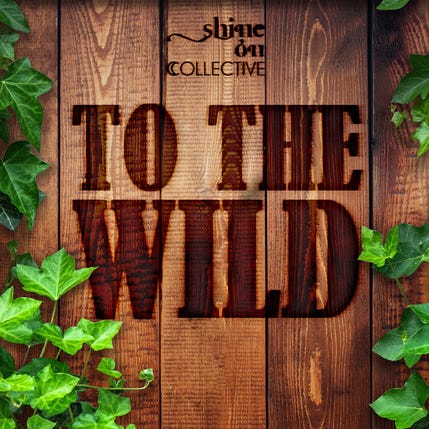 Back Rooms & Between Worlds: A Peek At ‘To The Wild’