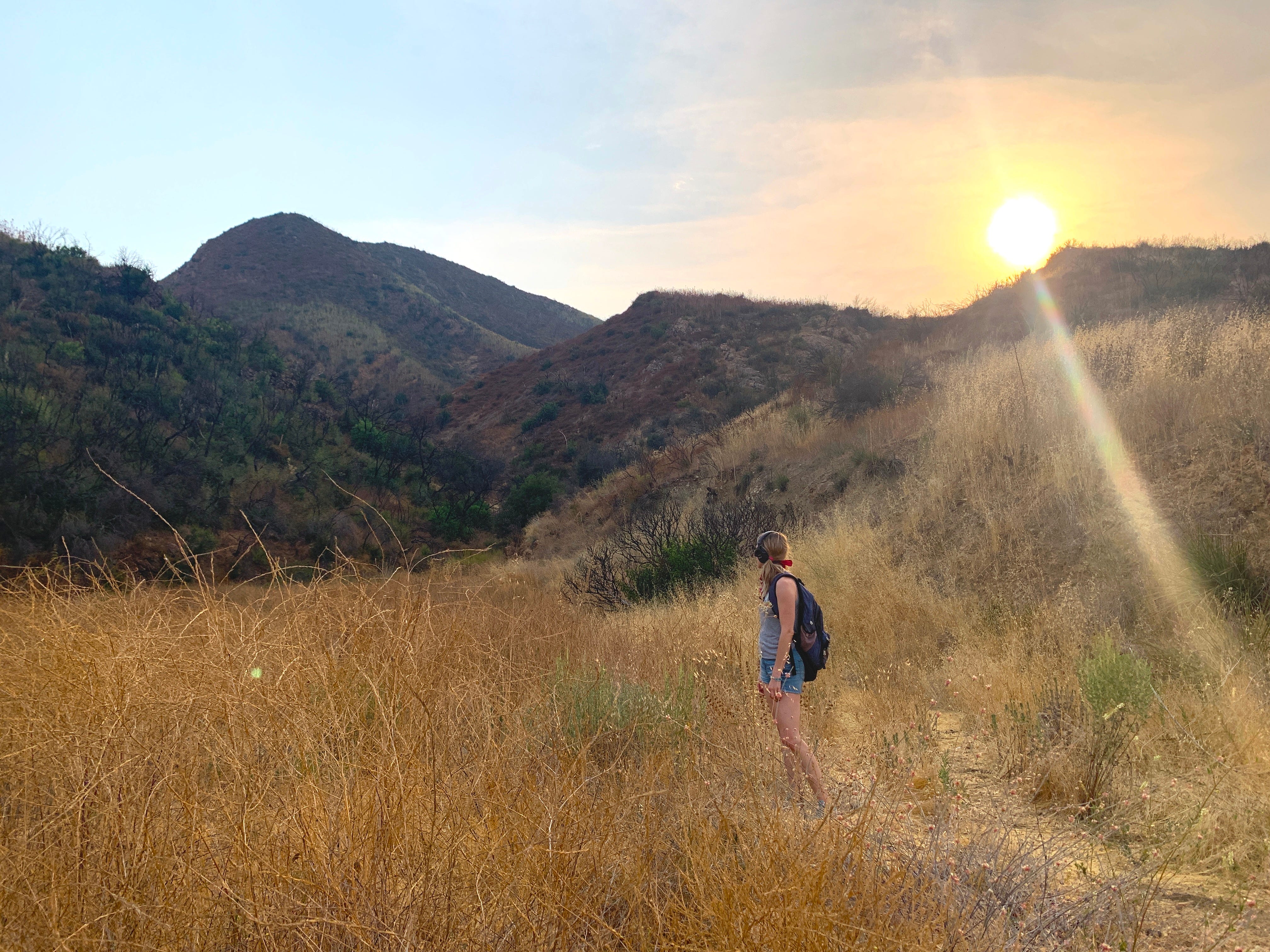 Marking Meaning In ‘Fire Season’ (Q&A)