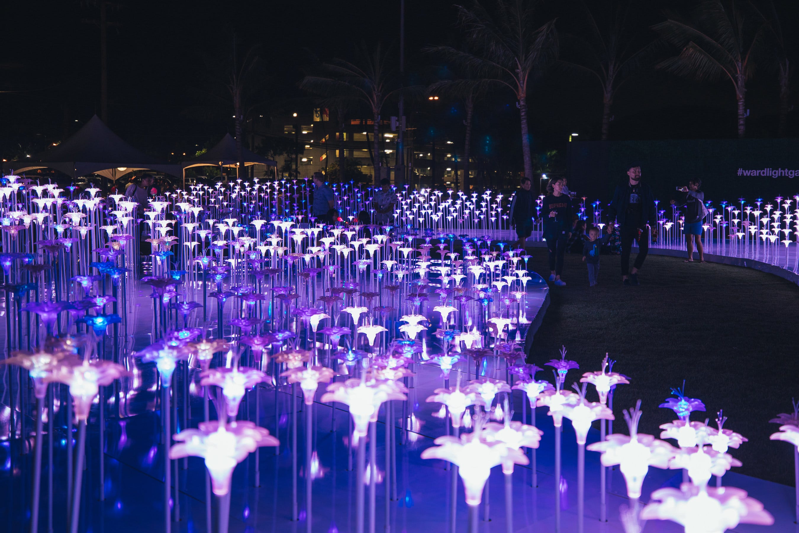 Honolulu: Light Garden, a 1,000-Year Bloom