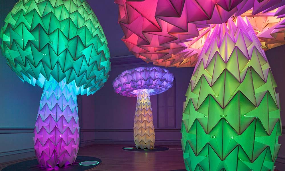 Cincinnati/Oakland: No Spectators: The Art of Burning Man