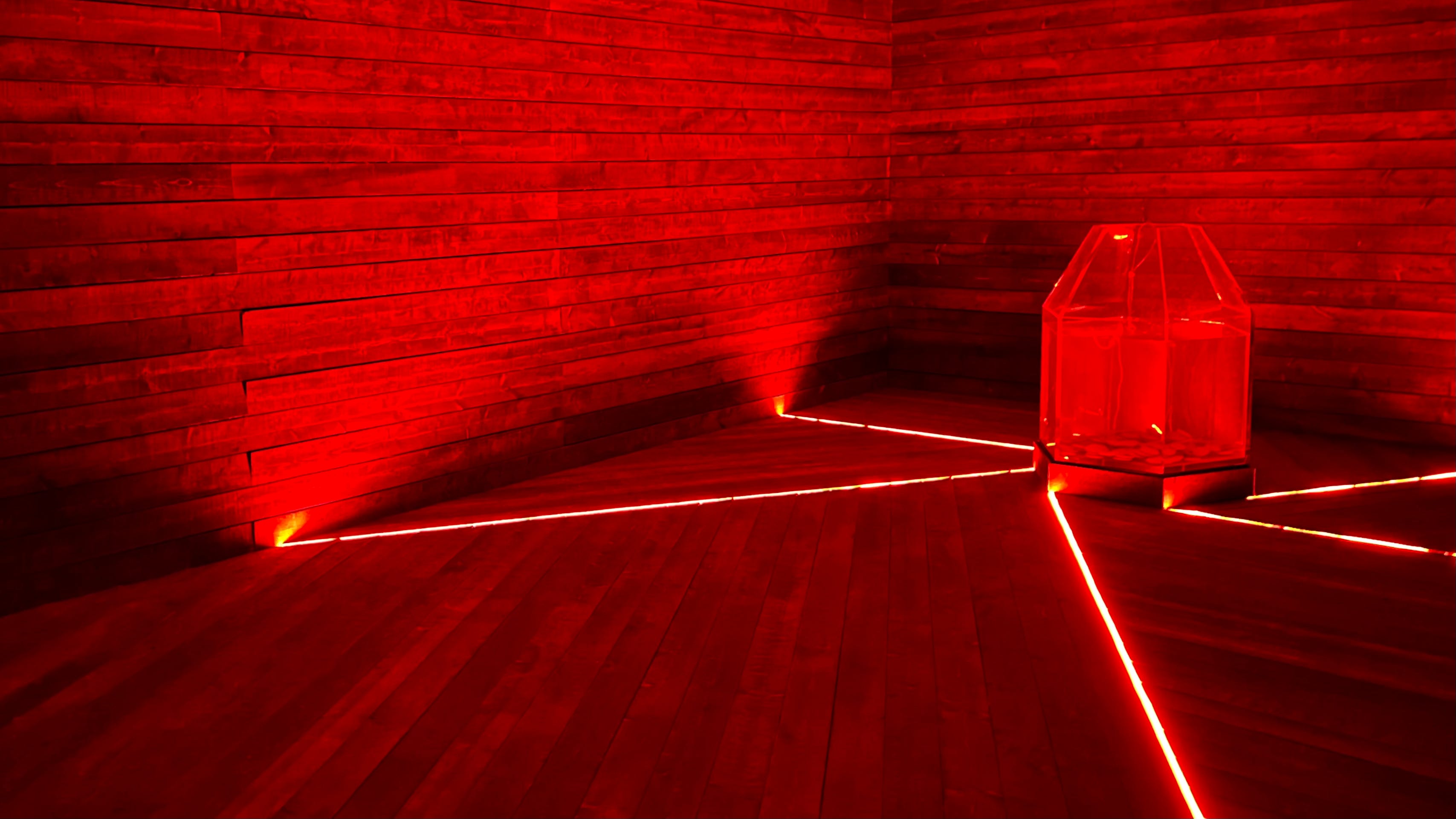 Glenn Kaino: Tidepools (Capsule Review)