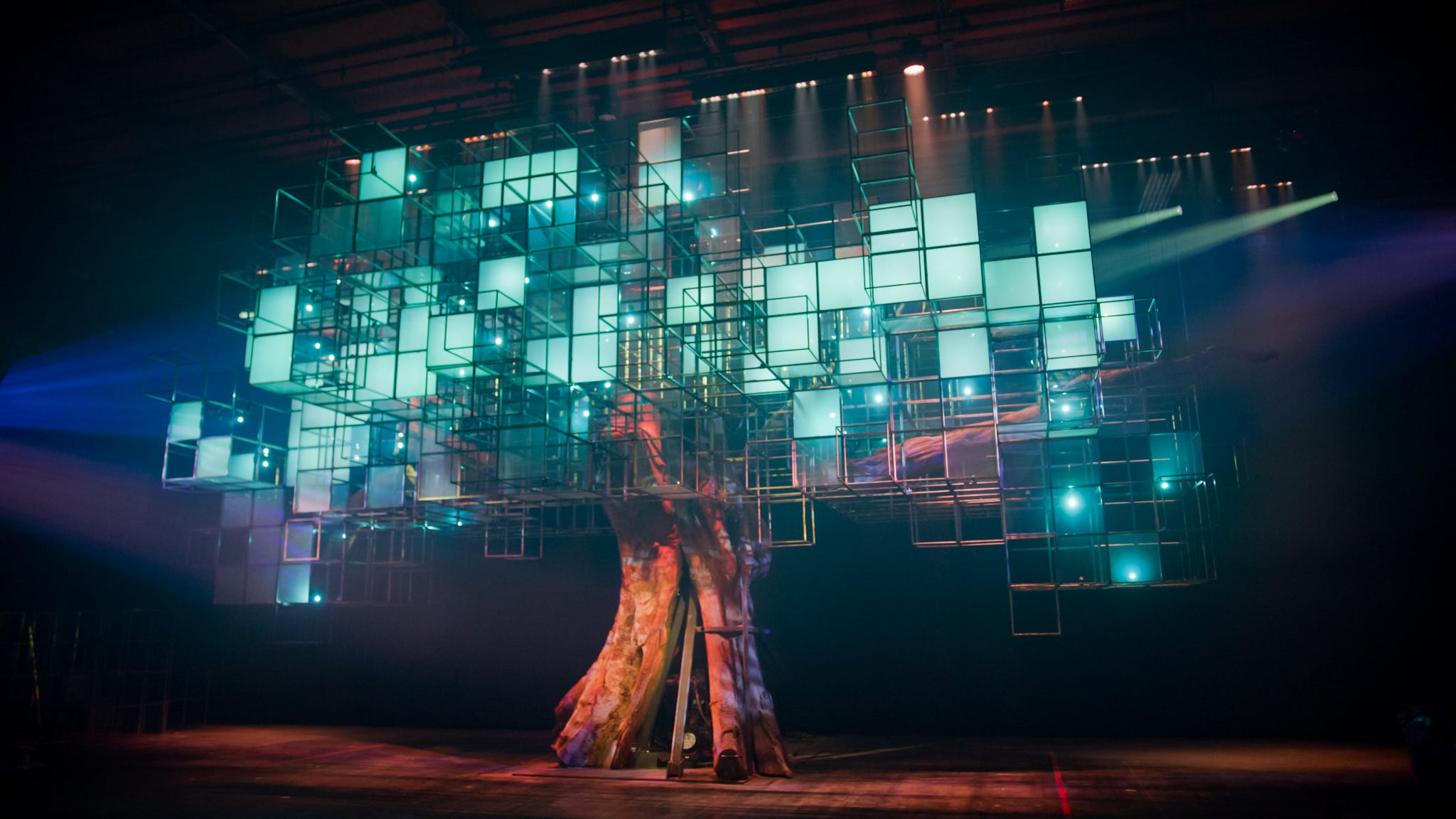 ‘A Forest for the Trees’ Is the Future of Immersive (The NoPro Review)