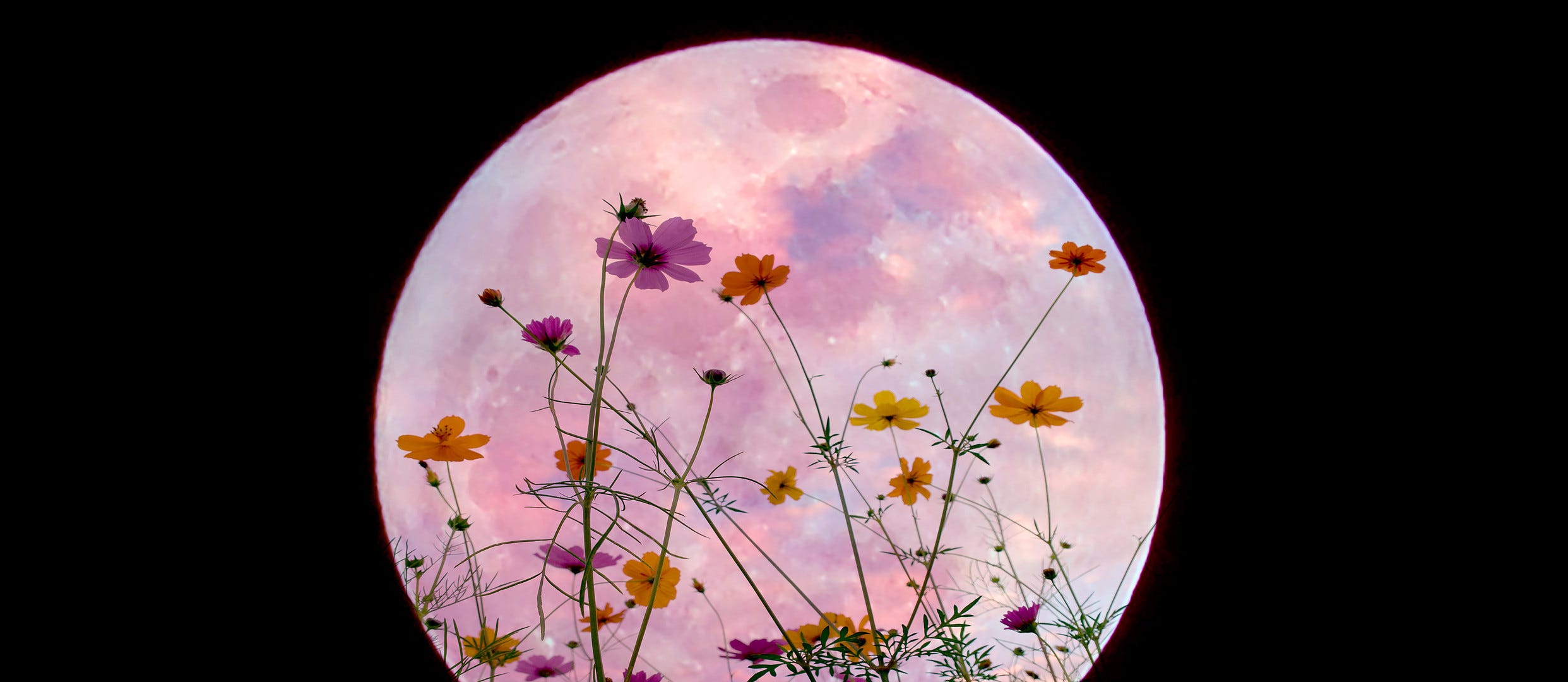 Marblehead, MA: Hawthorne Moon