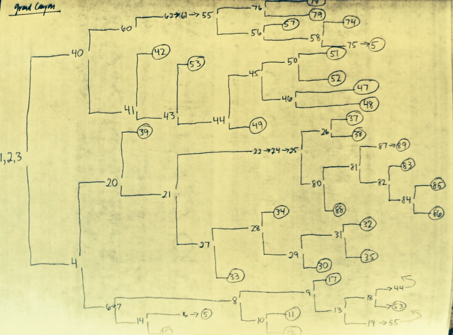 Everything Immersive This Week (7/7/2017)